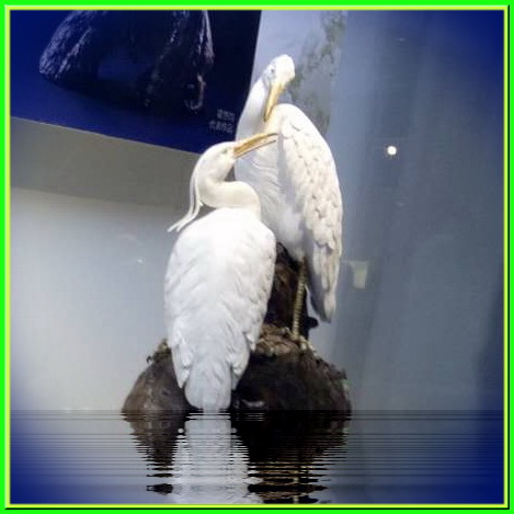 �x�Ї��մ�ˇ�g(sh��)��������Ʒ(li��n)չ�_Ļ