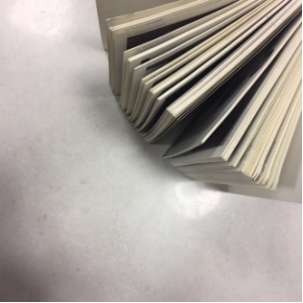 20161114 ICC�ɴu������׃���fǧ���پWÿ�ܳ�Ҏ���£�665_���D��.jpg